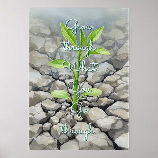 Grow Through What You Go Through Poster