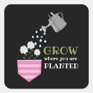 Grow where you are planted pocket inspirational square sticker