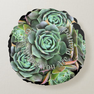Grow Where You Are Planted Succulent Pillow