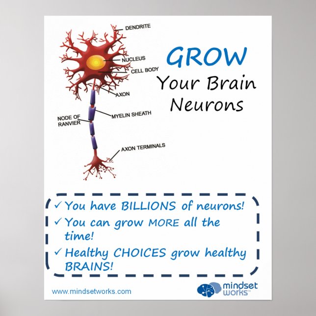 Grow Your Brain Neurons Brainology® Poster (Front)