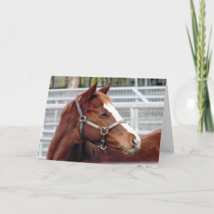 "Growing apart doesn't change..." Friendship Card