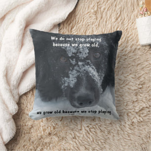 Growing Old Inspirational Quote Border Collie  Cushion
