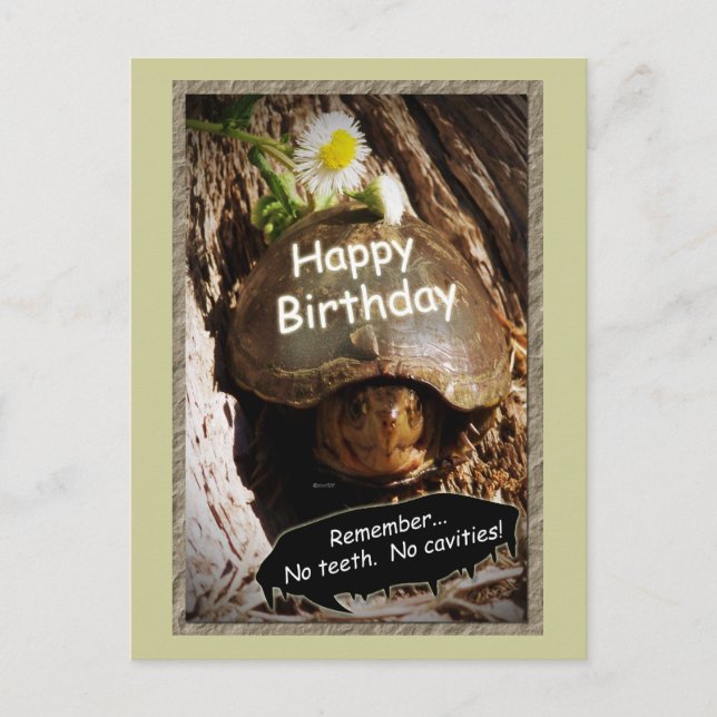 Growing Older Birthday Postcard (Front)