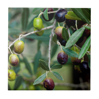 Growing Olives Ceramic Tile