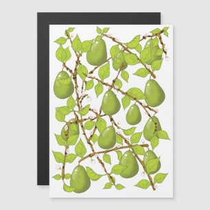 Growing Pears