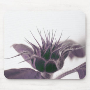 Growing Sunflower Mouse Pad