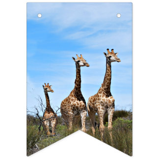 Growing Tall Safari Banner