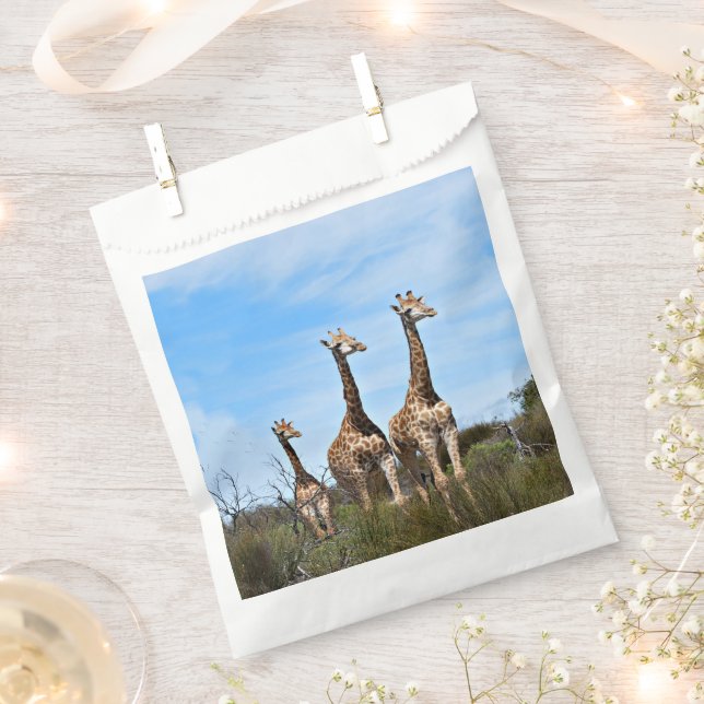 Growing Tall Safari Joy Favour Bag