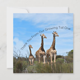Growing Tall Thank You Message Card