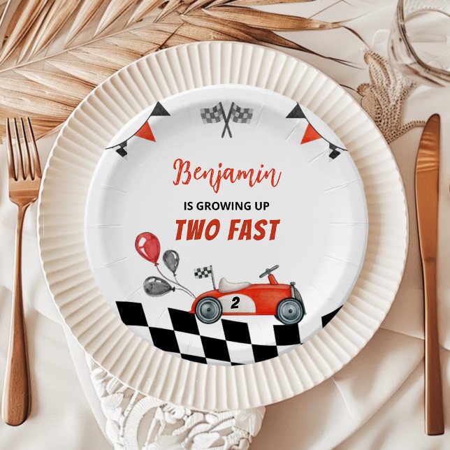 Growing Up Two Fast Vintage Birthday Paper Plate (Creator Uploaded)