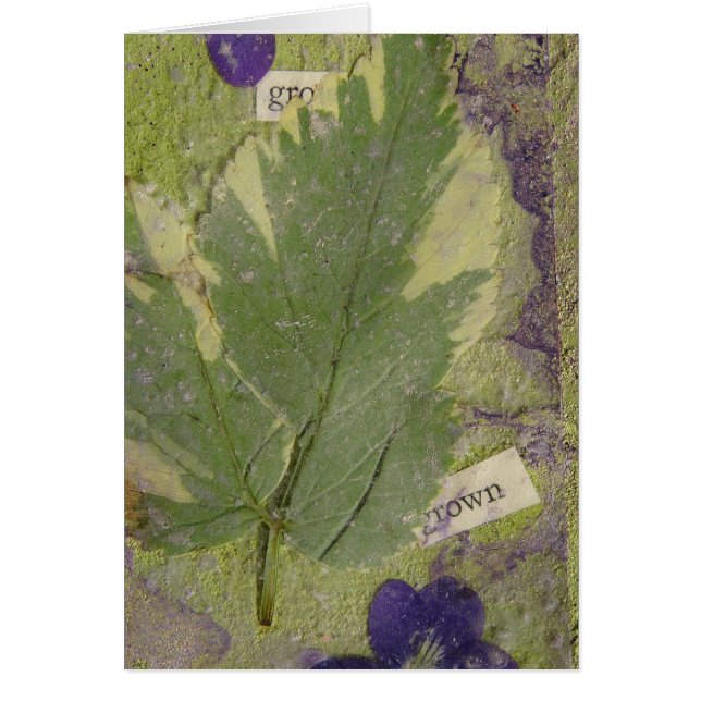 Grown Mixed Media (Front)