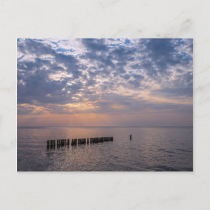 Groyne on shore of the Baltic Sea Postcard