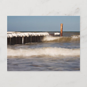 Groynes in winter on shore of the Baltic Sea Postcard