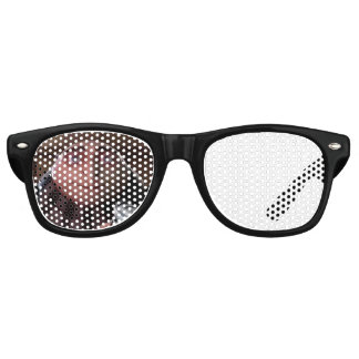 Gru Glasses