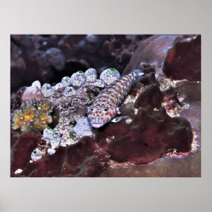 Grubfish Portrait Poster