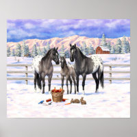 Grulla Gray Appaloosa Horses On A Farm In Snow
