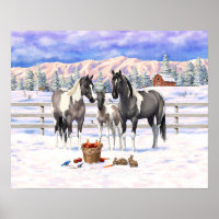 Grulla Pinto Gray Paint Horses on a Winter Farm