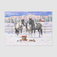 Grulla Pinto Grey Paint Horses on a Winter Farm