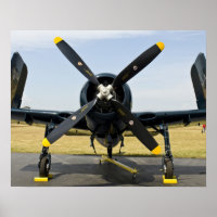 Grumman F8F Bearcat Navy Carrier Fighter on the