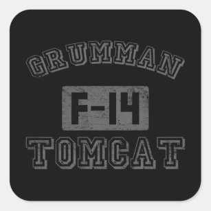 Grumman F-14 Tomcat Square Sticker