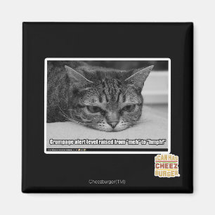 Grumpage Alert Magnet