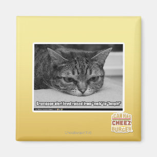 Grumpage Alert Magnet