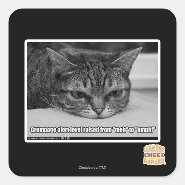 Grumpage Alert Square Sticker (Front)