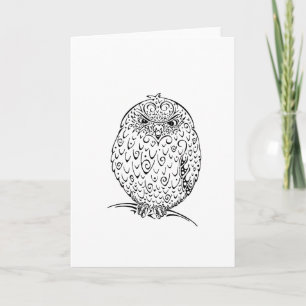 Grumpy African Barred Owlet Design Card