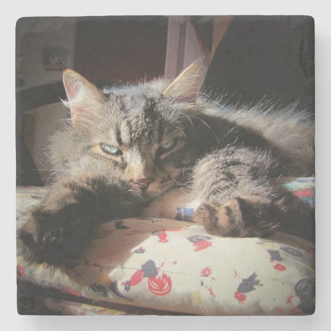 Grumpy Angel Cat is Suspicious Stone Coaster (Front)