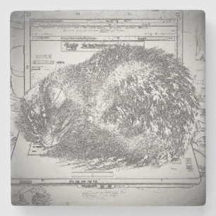 Grumpy Angel Cat Sleeping on a Laptop Stone Coaster