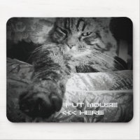 Grumpy Angel Cat wants your mouse