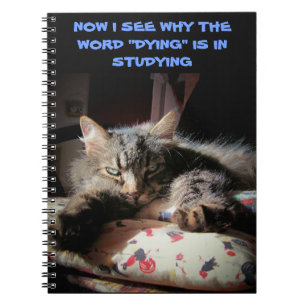 Grumpy Angel: Studying is killin' me Notebook