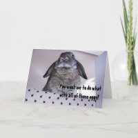 Grumpy Angry Easter Bunny Funny Humour Card