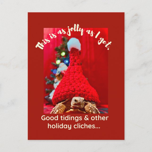 Grumpy baby sulcata tortoise in red hat Holiday Postcard (Front)