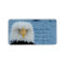 Grumpy Bald Eagle
