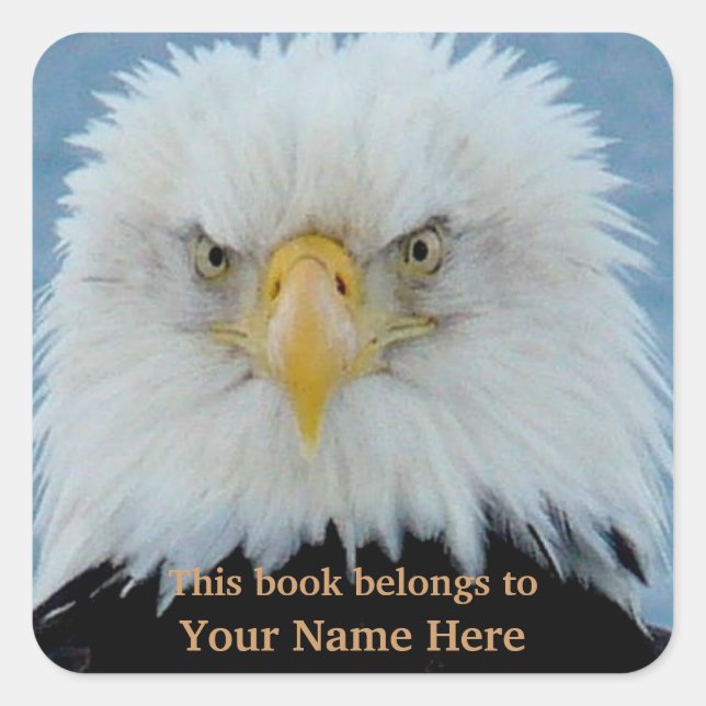 Grumpy Bald Eagle Square Sticker (Front)