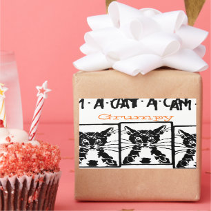 Grumpy Black Cat for the Grumpy Person or Cat Rectangular Sticker