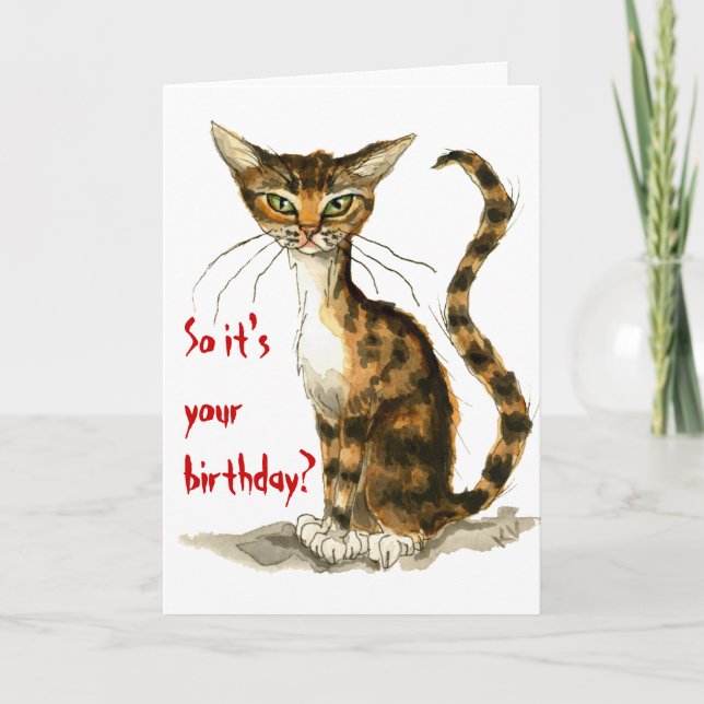 Grumpy brown tabby cat funny birthday card (Front)