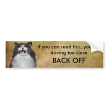 Grumpy Cat Back Off Bumper Sticker Template