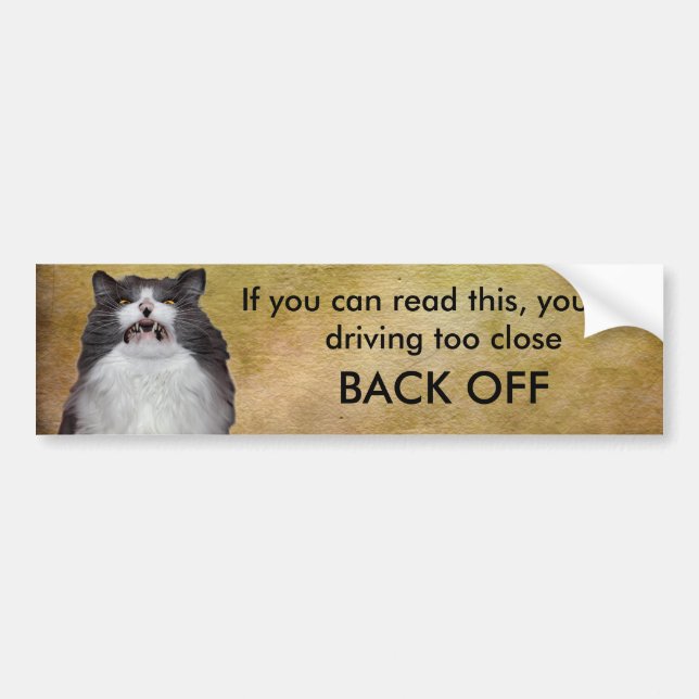 Grumpy Cat Back Off Bumper Sticker Template (Front)