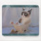 Grumpy Cat Blue Snowflake Mousepad
