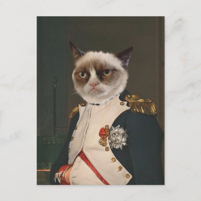 Grumpy Cat Classic Painting Postcard (Front)
