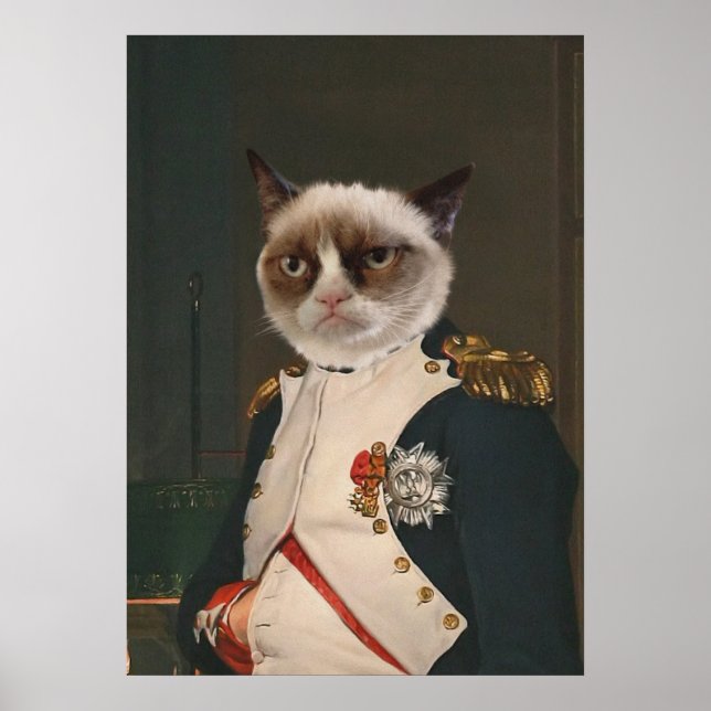 Grumpy Cat Classic Painting Poster (Front)