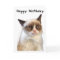 Grumpy Cat Happy Birthday Card