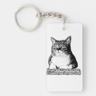 Grumpy cat meme for cat lovers and owners key ring