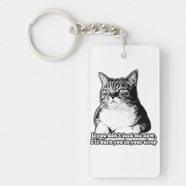 Grumpy cat meme for cat lovers and owners key ring (Front)