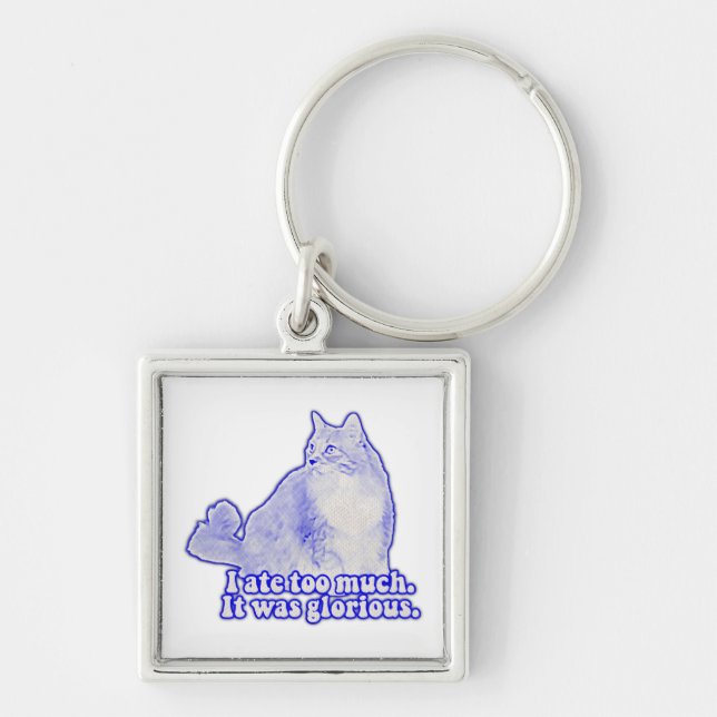 Grumpy cat meme for cat owners and kitten lovers key ring (Front)