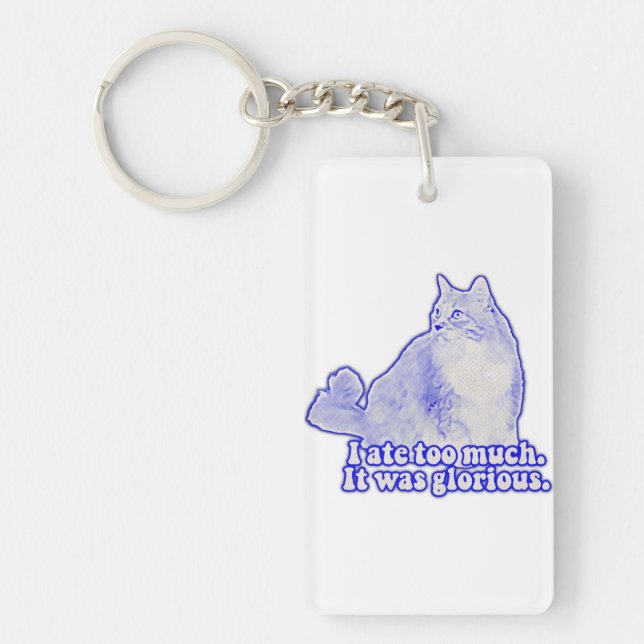 Grumpy cat meme for cat owners and kitten lovers key ring (Front)