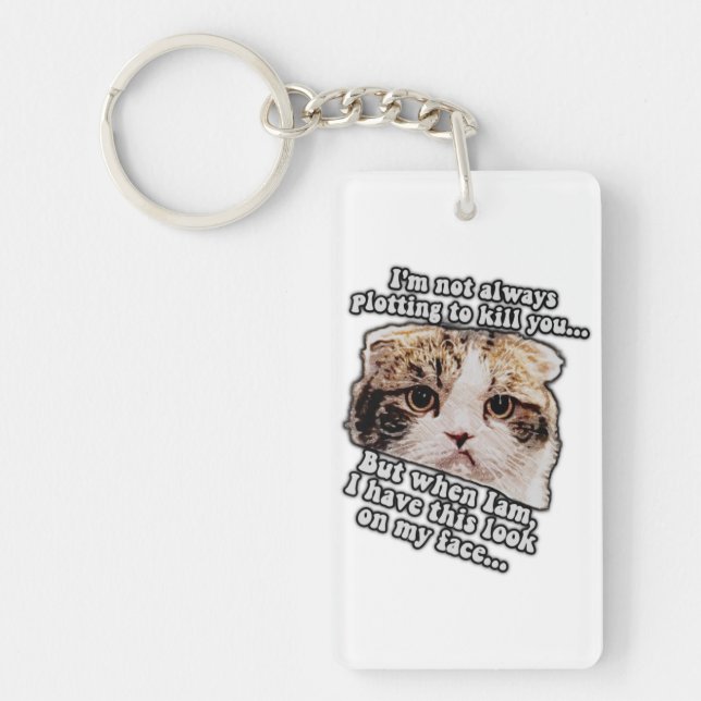 Grumpy cat meme for cat owners and kitty lovers key ring (Front)