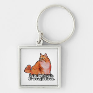 Grumpy cat meme for cat persons and kitten lovers key ring